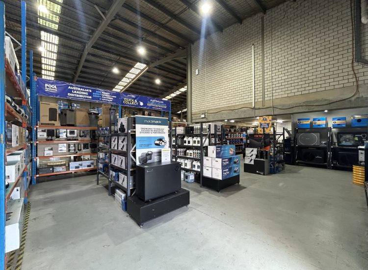 Dive-In! February 2026 Edition